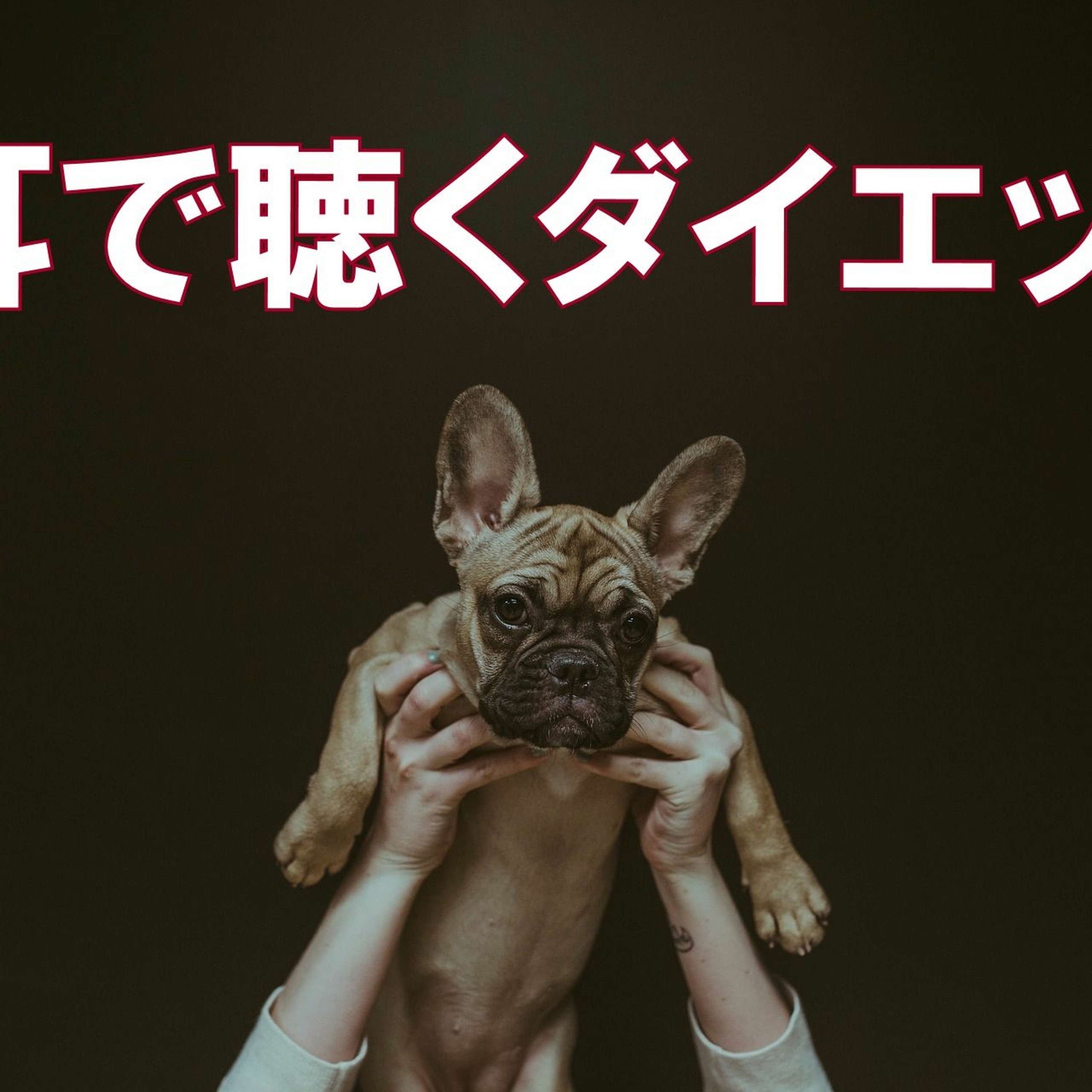 第2回 ダイエット・トレーニング 継続の秘訣!