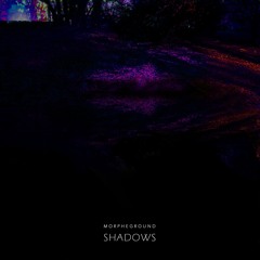 The Shadow Self