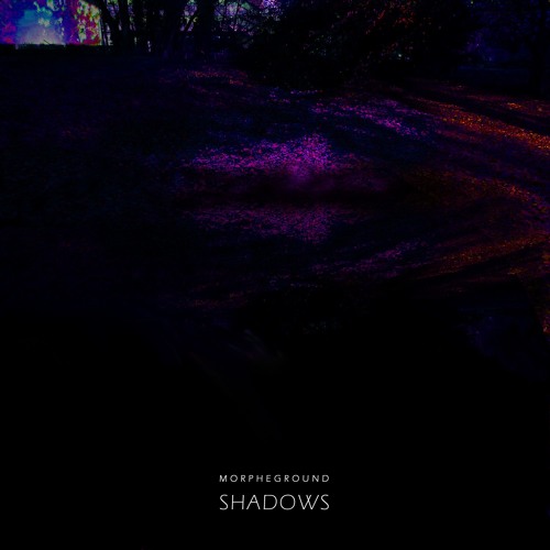 The Shadow Self