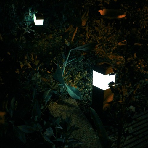 Lazarus Moment - Wistful Wastes