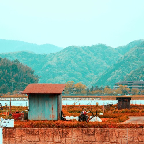 The Canine Archaeologist - Soft Air