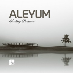 Aleyum - Eluding Dreams
