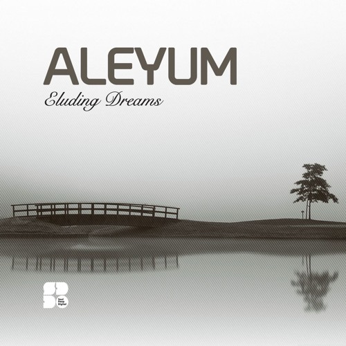 Aleyum - Eluding Dreams