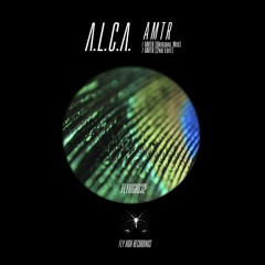 AMTR Preview (FLYHIGH32)