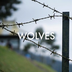 YOGI - WOLVES