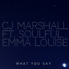 "What you say" Feat. Soulful Emma-Louise (Free WAV download)