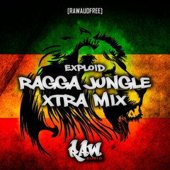 Exploid - Ragga Jungle Xtra Mix (2 HOUR REGGAE DRUM & BASS MIX)