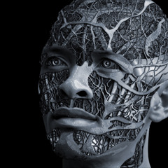 Alert Minds _Biomechanics