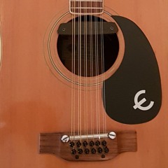 Rosalie - 12 Strings