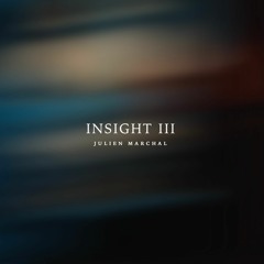 Julien Marchal - INSIGHT XXXIII