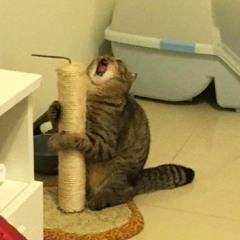 New private playlist