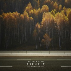 Asphalt (DJI WRC Germany 2017 Soundtrack)