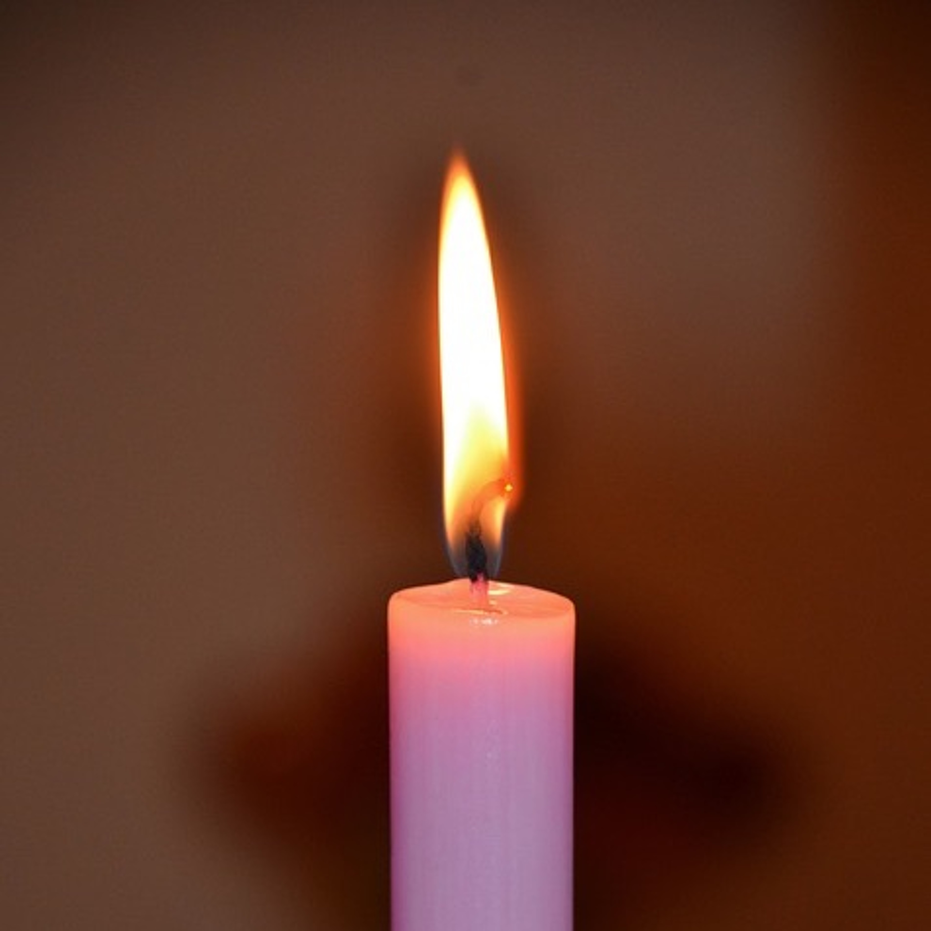Advent: He Also Will Accomplish It - Homily for December 17 episode artwork
