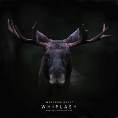 Whiplash (DJI WRC Finland 2017 Soundtrack)