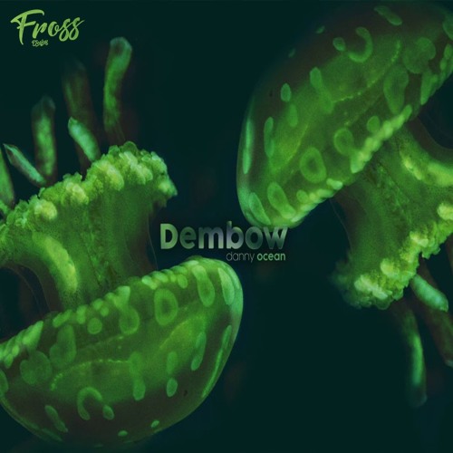 Stream Danny Ocean - Dembow [Extended IntroRemix Dj Fross] [DESCARGA  GRATIS] by Enzo Gomez Dj Fross | Listen online for free on SoundCloud