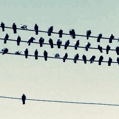 Alıştım susmaya (Cover)