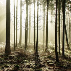 Chris Isaak Wicked Game Cover