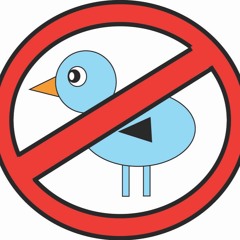 Hvað Varð Um Fulganna