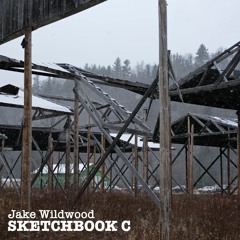 Just After Winter (Mandola)