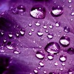 "Heavy" Dem@rk ft Faraoh loxx