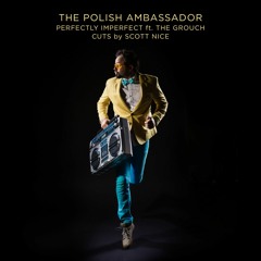 The Polish Ambassador - Perfectly Imperfect ft. The Grouch, Scott Nice