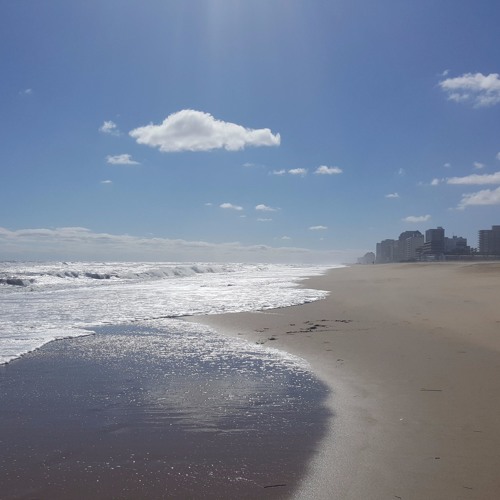 The Rising Tide of Tourism