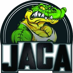 MC NOVINHO NO JACARE PRA PODER ARRANCAR O CABAÇO DJ ANDERSON DO JACA 140 BPM 2017
