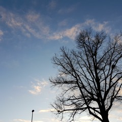 No Light,No Sun,No Hope