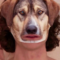 Gotye Knows Somebody That He Used