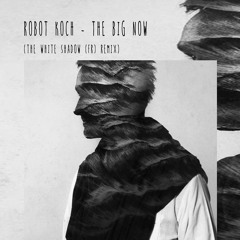 Robot Koch - The Big Now (THe WHite SHadow (FR) Remix)#FREE DOWNLOAD#