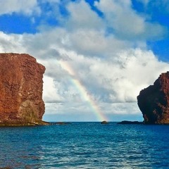 Live In Lanai Rainbow City