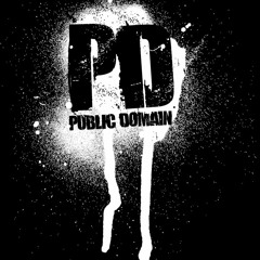 Public Domain - Operation Blade '06 (Radio Edit)