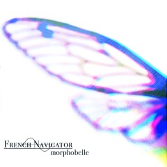 French Navigator - Papillon