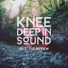 2017: The Review (Continuous DJ Mix)