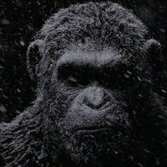 Monkey Bastards - Winter Is Coming