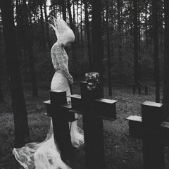 Sex Love & Rock N Roll (Prod. Sketchmyname)