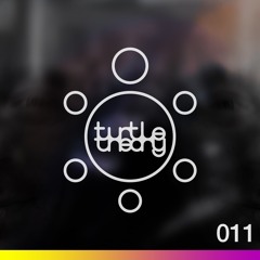 turtletheory - [011]