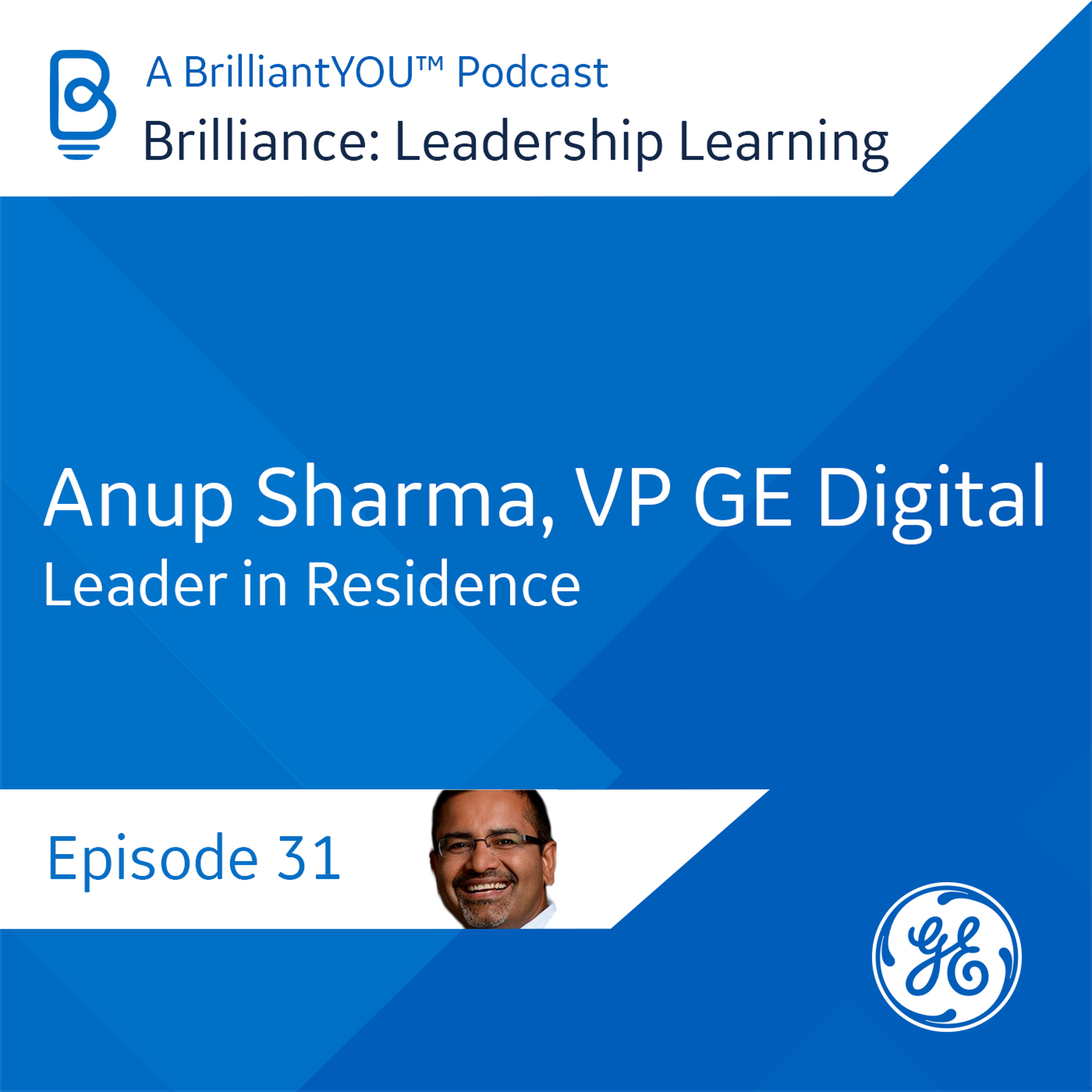 Brilliance: Leadership Learning