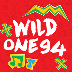 Wild One94 - 365 Dias De Groove
