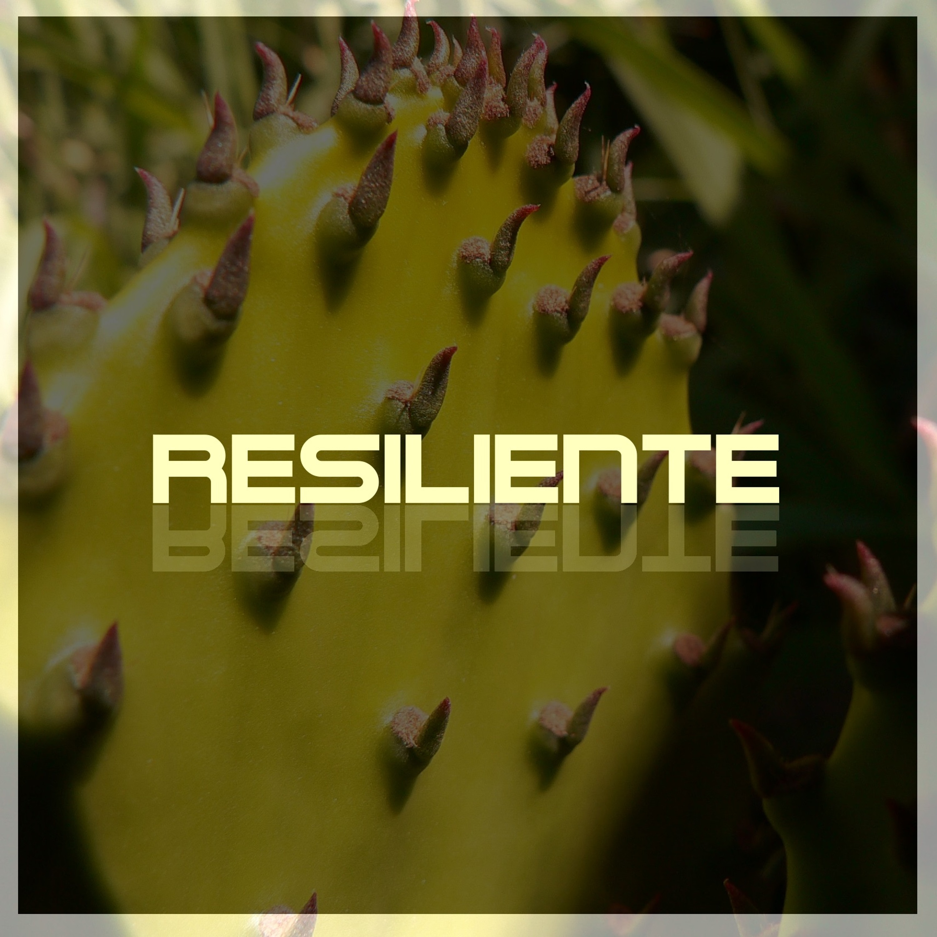 Resiliente episode artwork