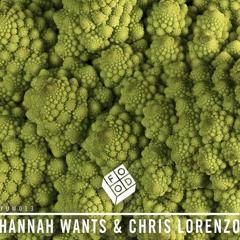 Chris Lorenzo & Hannah Wants (Best Of) Mix
