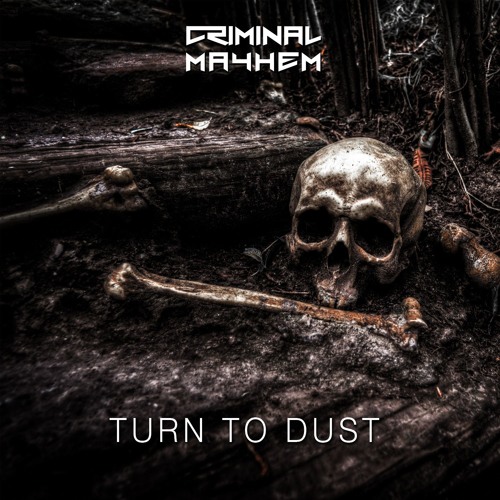 Turn To Dust (Radio Edit)[FREE RELEASE]
