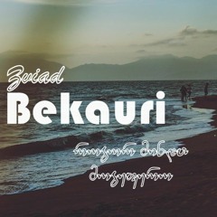 Zviad Bekauri-Rogor Minda Mogefero (Saxe cover)