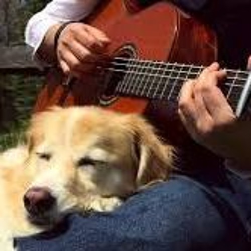 AcousticTrench - The Last Of Us Fingerstyle Guitar Main Theme