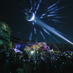 Zugvögelfestival Süd 2017 Tenerife #4