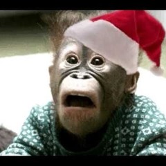 chimpmas