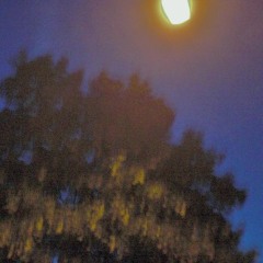 collage/let the lie go