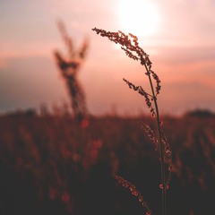 Mindfulness Episode 36