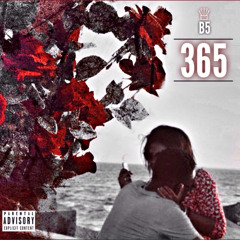 B5 - 365