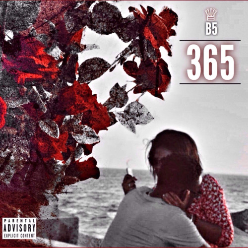 B5 - 365